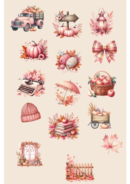 Pembe Temalı Vintage Sticker Ajanda Bullet Journal YRM049