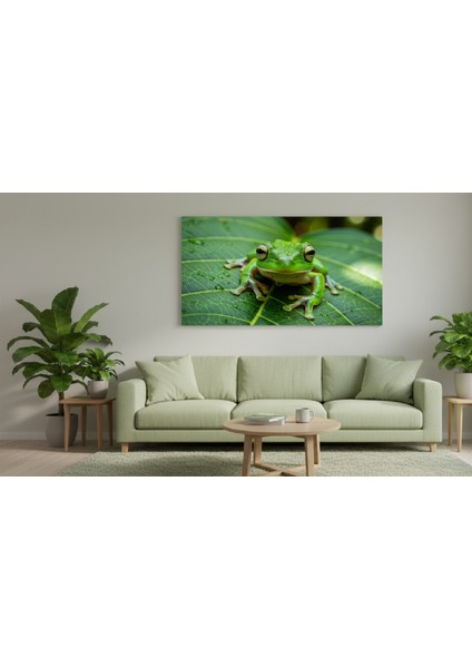 Sevimli Yeşil Kurbağa Kanvas Tablo | Çerçevesiz Doğa ve Hayvan Sanatı | Kreş ve Çocuk Odası Tablo modelleri