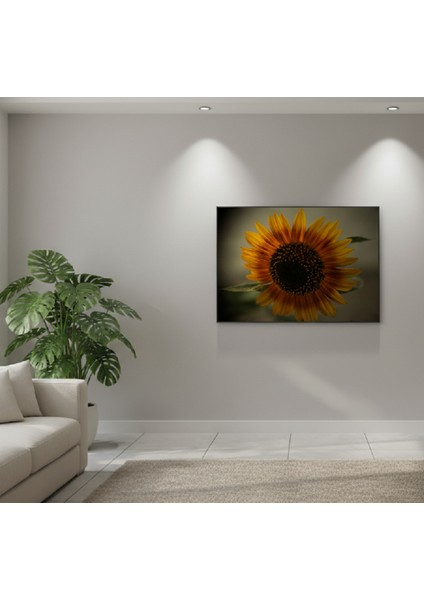 Ayçiçeği Kanvas Tablo | Turuncu Tablo, Sarı Tablo, Sanatsal Çiçek Fotoğrafı Kanvas Tablo modelleri