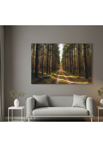 Büyük Boy Orman Yolu - Doğa Manzarası Kanvas Tablo, Sakinleştirici Tablo