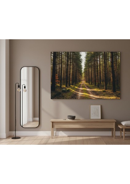 Büyük Boy Orman Yolu - Doğa Manzarası Kanvas Tablo, Sakinleştirici Tablo fiyatları