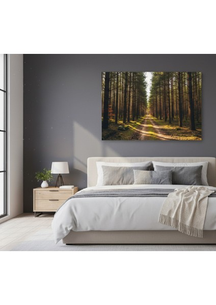 Büyük Boy Orman Yolu - Doğa Manzarası Kanvas Tablo, Sakinleştirici Tablo modelleri