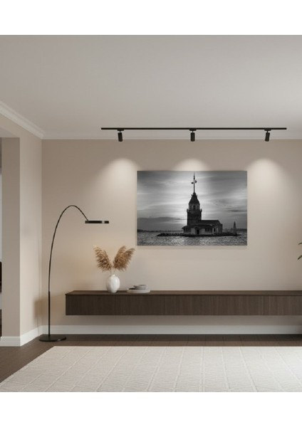 Siyah Beyaz Kız Kulesi Kanvas Tablo, Istanbul Manzarası Tablo, Özel Siyah Beyaz Istanbul Tablosu modelleri