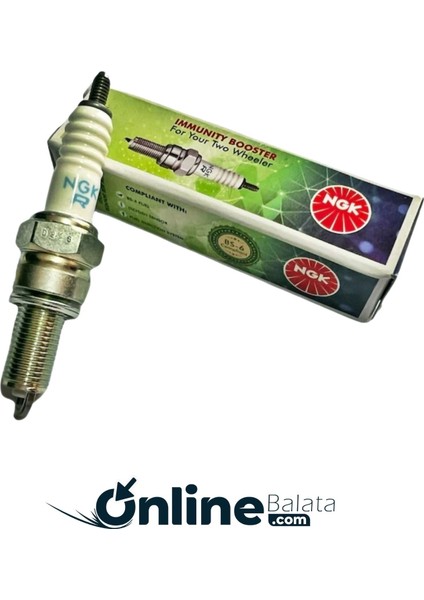 Tvs Raider 125 Buji Ngk Hindistan BJ001