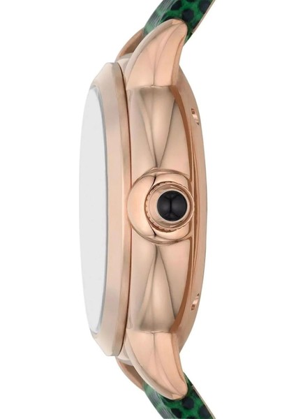 AR60073 Otomatik Kadın Kol Saati fiyatları