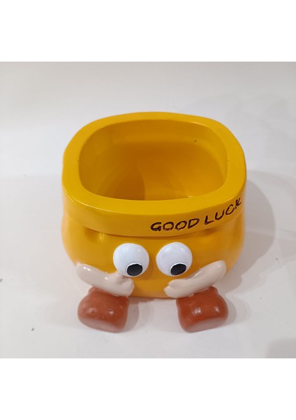 Good Luck Sevimli Saksı Büyük fiyatları