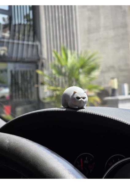 4'lü Sevimli Kedi - Araç Torpido Süsü - Biblo Dekoratif Obje