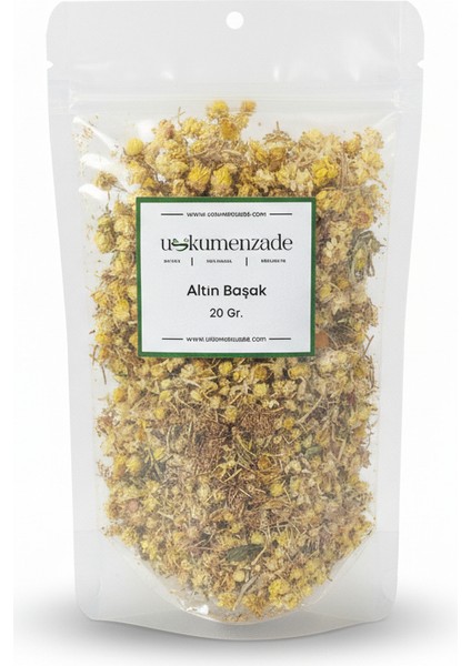 Altın Otu, Altın Başak Otu ,solidago Virgaurea , Üskümenzade Altın Otu