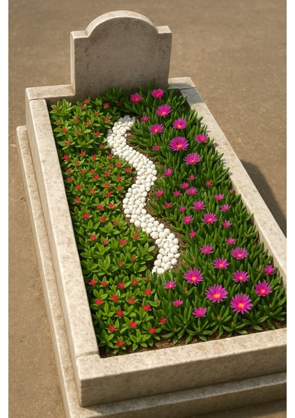 MEZAR - KABİR ÇİÇEKLİ BİTKİ SETİ - 90 ADET YER ÖRTÜCÜ BİTKİ + 20 fiyatları