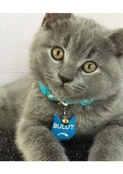 Kedi Şeklinde Mavi Köpek Isimliği / Künyesi fiyatları