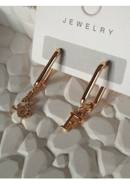 Oğlak Burcu ve Harf Charmlı Dikdörtgen Çelik Küpe indirimleri