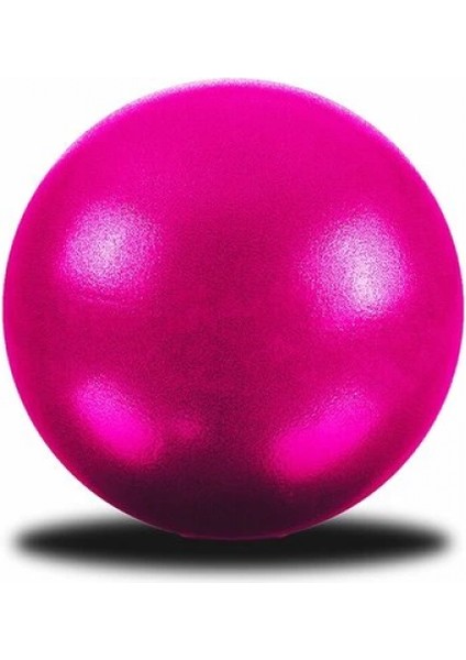 25CM KÜÇÜK PLATES TOPU ( HERHANGİ BİR RENK GÖNDERİLİR ) (4887)