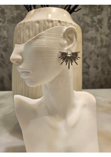 Şık Taşlı Kanat Desenli Küpe fırsatları