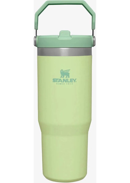 0.89L The Iceflow Pipetli Termos Bardak fiyatları