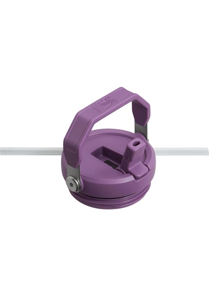 0.89L The Iceflow Pipetli Termos Bardak fiyatları