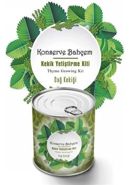 Konserve Bahçem Evde Konservede Kekik Dağ Kekiği Yetiştirme Kiti