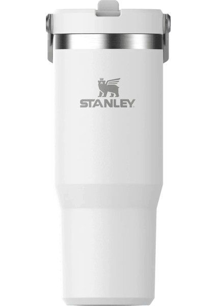 0.89L The Iceflow Pipetli Termos Bardak fiyatları