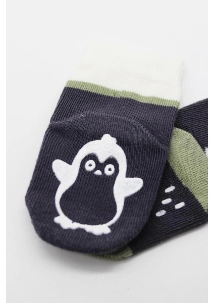 Bistyle Hayvan Figürlü Kaymaz Erkek Soket Çorap 2'li BS10119 Antrasit modelleri