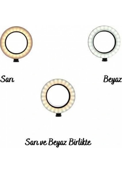 8inç 20cm Youtube Instagram Tiktok Selfie Stüdyo Video Fotoğraf Ring Light Tripod Led Halk indirimleri