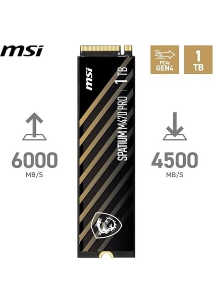 SSD Spatıum M470 Pro Pcıe 4.0 Nvme M.2 1tb R:6000 W:4500 modelleri