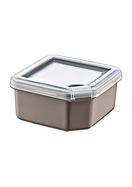 Q-Box Saklama Kabı 1000 ml Bej fiyatları