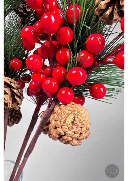 Kokina 75 cm 60 Meyveli ve Kozalaklı Yılbaşı Bitkisi Tek Dal fırsatları