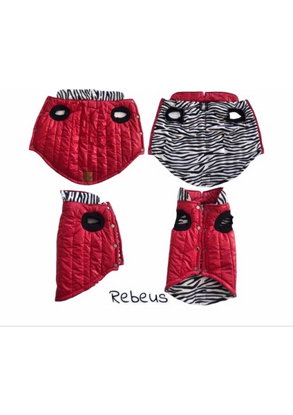 Novablaf Kırmızı Parlak Su Geçirmez Zebra Köpek Montu modelleri