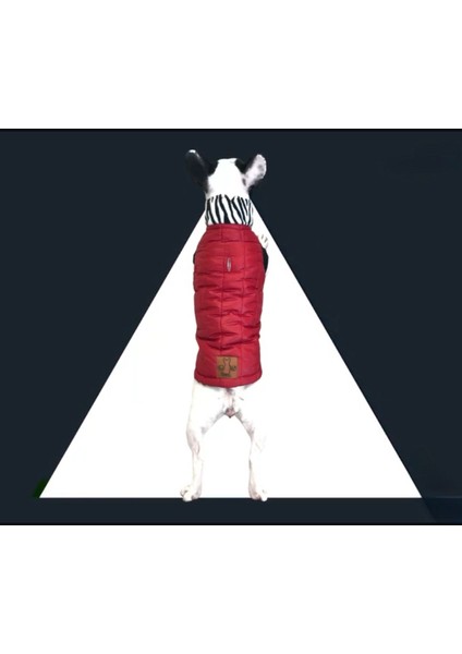 Novablaf Kırmızı Parlak Su Geçirmez Zebra Köpek Montu fırsatları