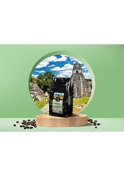 The Mill Guatemala Huehuetenango Kahve Çekirdekleri - 250 G - Ustalıkla Kavrulmuş Bütün Kahve Çekirdeği -%100 Arabica - Çikolata Tonları ile Zengin Aroma - Filtre ve Kahve Makineleri Için Uygun fiyatları