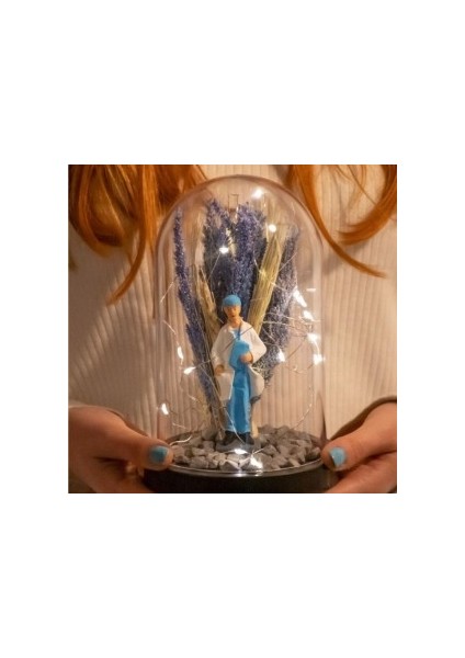 Teraryum Fanus Erkek Doktor Iş Hediyesi Işıklı