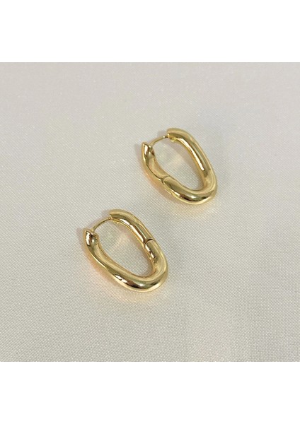 Kıvrımlı Şık Çelik Gold Küpe