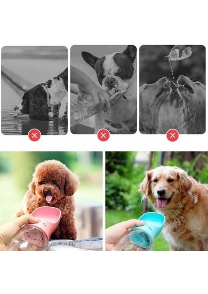 Taşınabilir Evcil Hayvan Suluğu Seyahat Kabı Kilitlenebilen Su Sızdırmaz Kap 350 ml modelleri