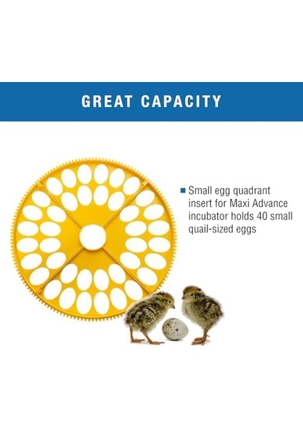 Products Maxi Advance Kuluçka Makinesi Küçük Yumurta Çeyrek Ekleme (40 Bıldırcın Yumurtası), Sarı fiyatları