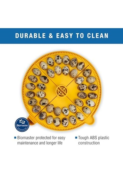 Products Maxi Advance Kuluçka Makinesi Küçük Yumurta Çeyrek Ekleme (40 Bıldırcın Yumurtası), Sarı modelleri