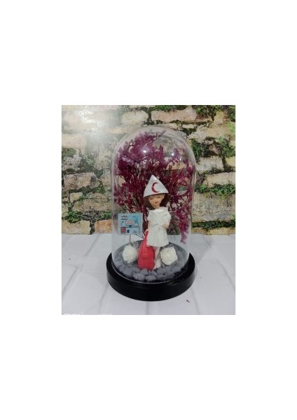 Teraryum Fanus Hemşire Iş Hediyesi Hemşire Temalı