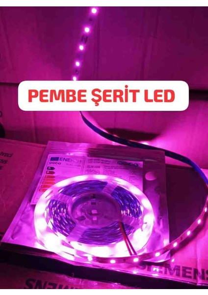 Pembe Şerit LED