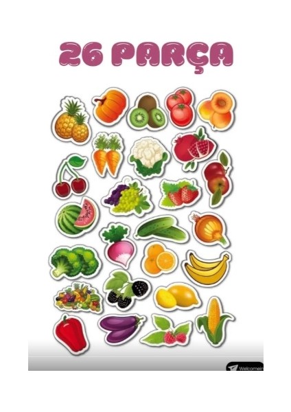 Oyuncak Manyetik Mıknatıslı 30 Parça Hayvanlar 26 Parça Sebze Meyveler Eğitici Set Magnet modelleri