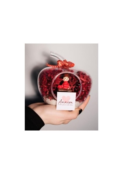 Teraryum Mini Elma Annem Seni Çok Seviyorum Yazılı Hediye