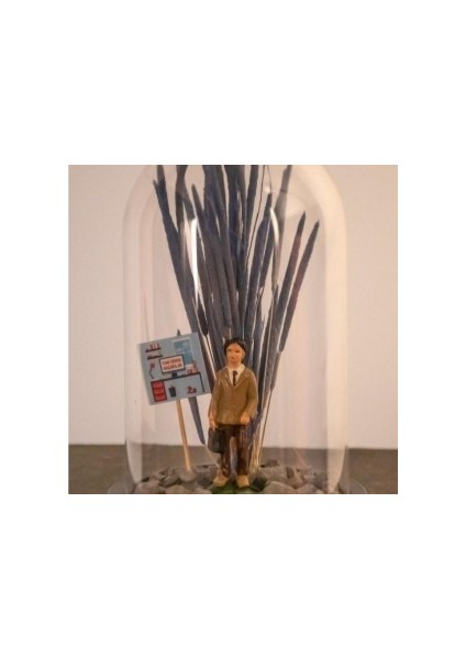 Teraryum Fanus Yeni Işinde Başarılar Kartlı Iş Adamı Temalı Teraryum