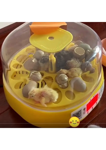 Mini Otomatik Ev Tipi Kuluçka: Papağan Bıldırcın Kuluçka Makinesi 18LI Yumurtalı Mx-18 modelleri