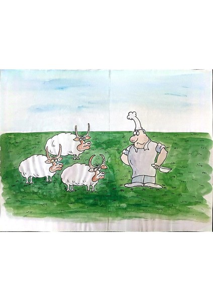 Leng Yan Ping 35X25CM Orijinal Karikatür Tablo modelleri