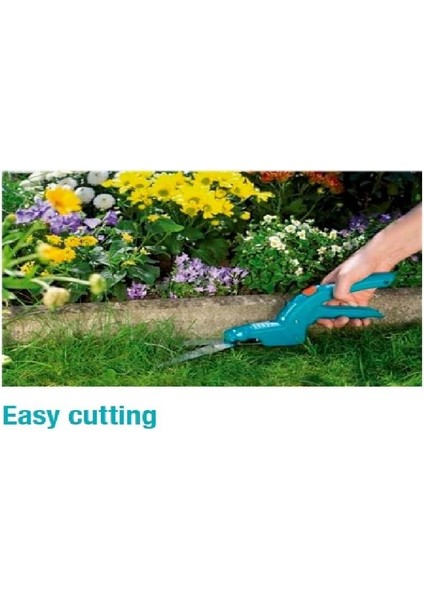 08730-20.000.00 Çim modelleri