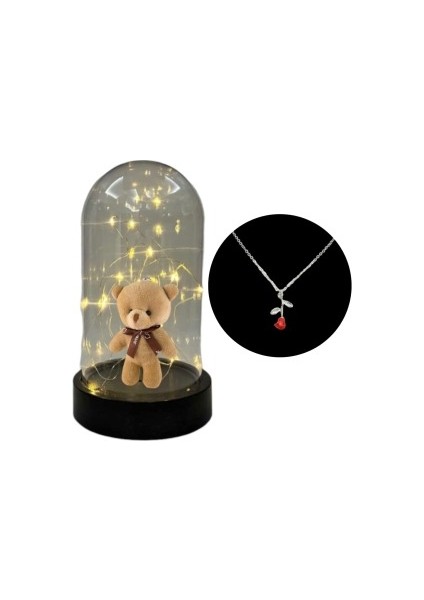 Fanus Teraryum Ayıcıklı Kolye Hediyeli