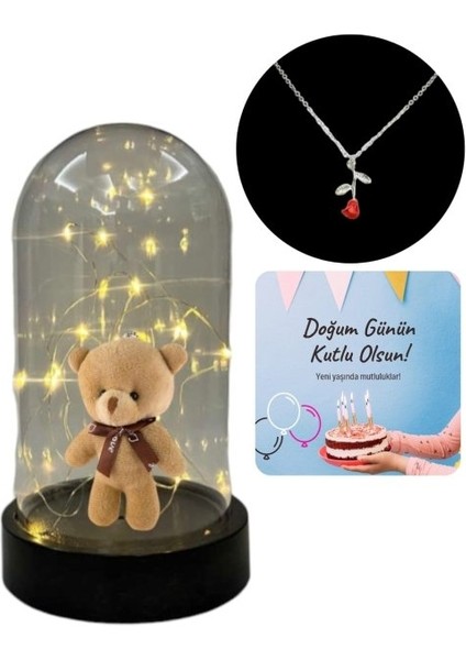 Fanus Teraryum Ayıcıklı Kolye Hediyeli modelleri