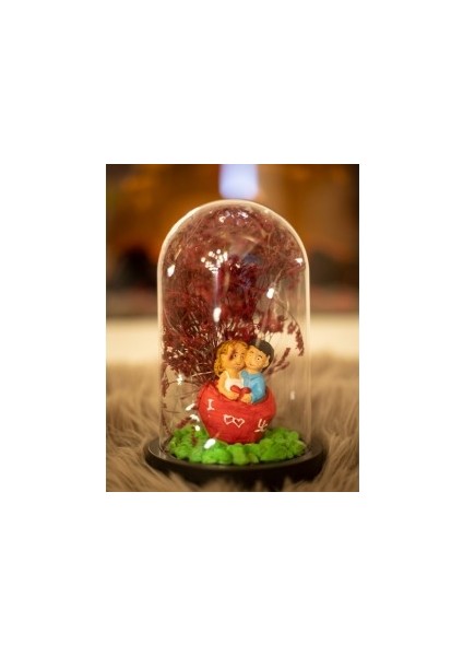 Fanus Teraryum Sevgiliye Hediye Sevgili Figürlü Işıklı Kuru Çiçekli