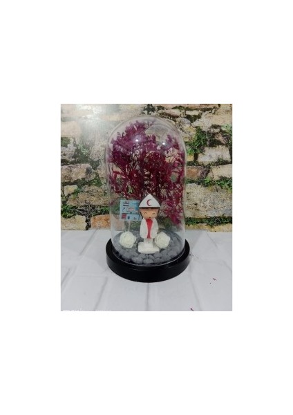 Fanus Teraryum Hemşireye Iş Hediyesi Yeni Işinde Başarılar