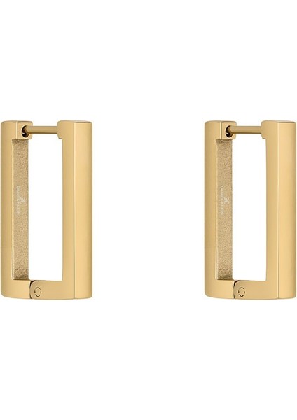 Orijinal Kadın Çelik Küpe DKJ.5.30009-1