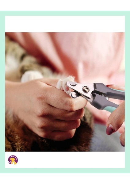 3'lü Kedi Köpek Bakım Seti - Kıtık Açıcı Tarak, Tırnak Makası ve Törpü ile Komple Bakım