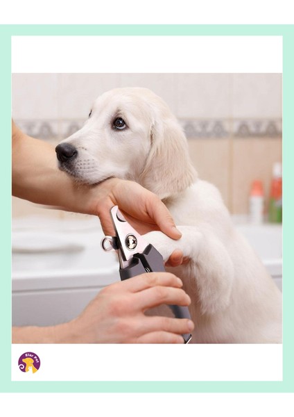 3'lü Kedi Köpek Bakım Seti - Kıtık Açıcı Tarak, Tırnak Makası ve Törpü ile Komple Bakım