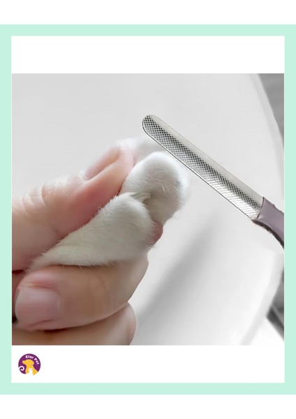 3'lü Kedi Köpek Bakım Seti - Kıtık Açıcı Tarak, Tırnak Makası ve Törpü ile Komple Bakım